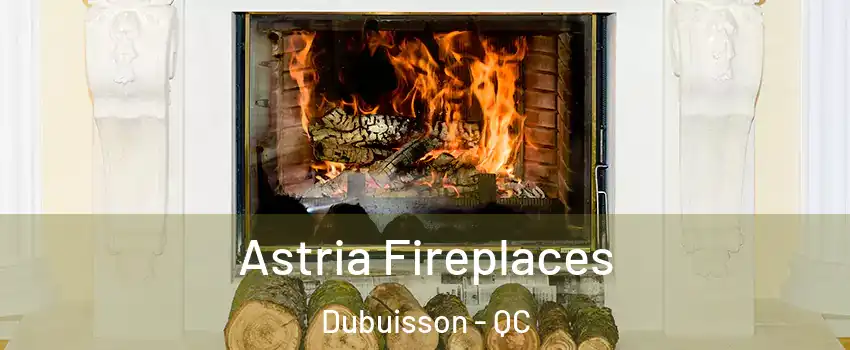  Astria Fireplaces Dubuisson - QC