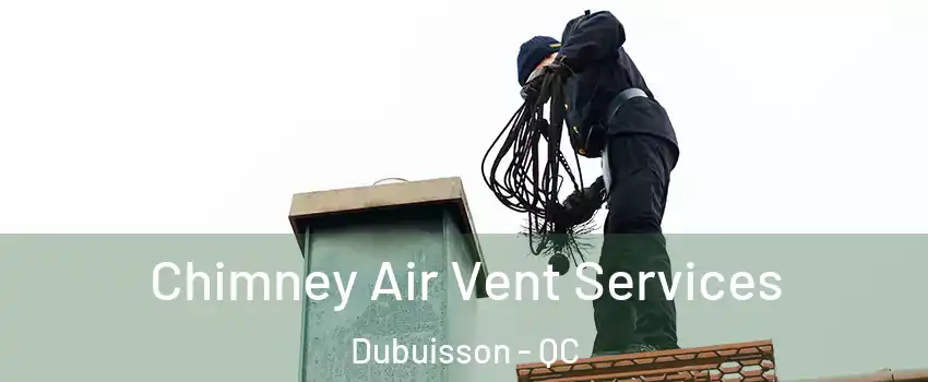 Chimney Air Vent Services Dubuisson - QC