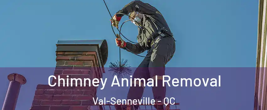  Chimney Animal Removal Val-Senneville - QC