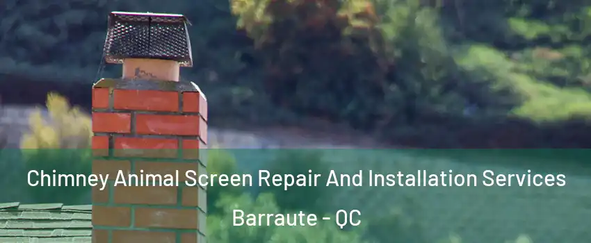  Chimney Animal Screen Repair And Installation Services Barraute - QC
