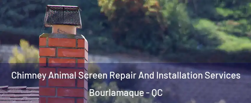  Chimney Animal Screen Repair And Installation Services Bourlamaque - QC