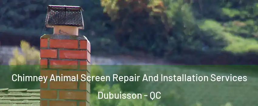  Chimney Animal Screen Repair And Installation Services Dubuisson - QC
