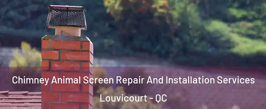  Chimney Animal Screen Repair And Installation Services Louvicourt - QC