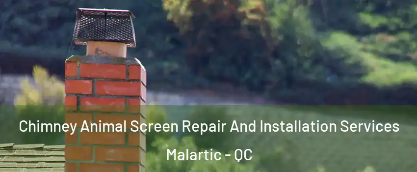  Chimney Animal Screen Repair And Installation Services Malartic - QC