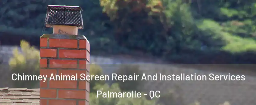  Chimney Animal Screen Repair And Installation Services Palmarolle - QC