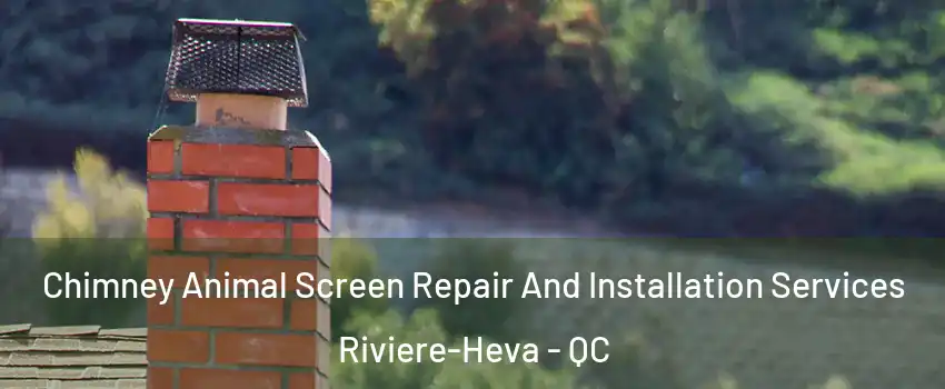  Chimney Animal Screen Repair And Installation Services Riviere-Heva - QC