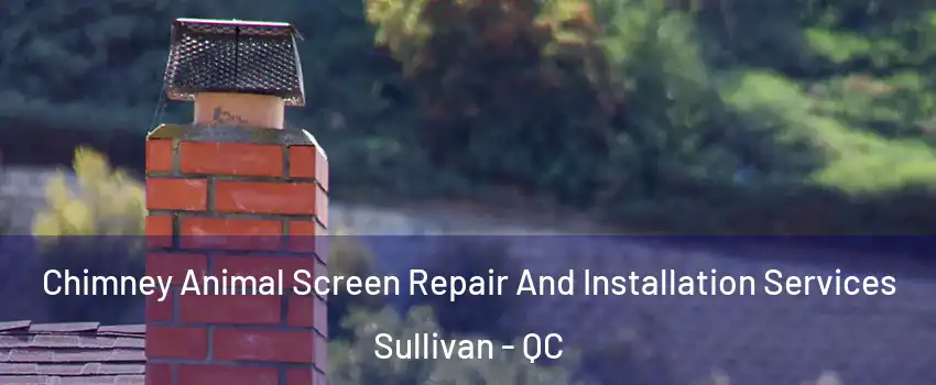  Chimney Animal Screen Repair And Installation Services Sullivan - QC