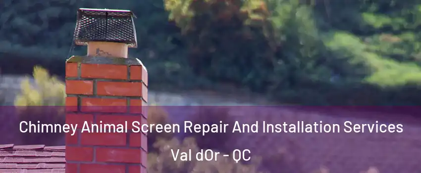  Chimney Animal Screen Repair And Installation Services Val dOr - QC