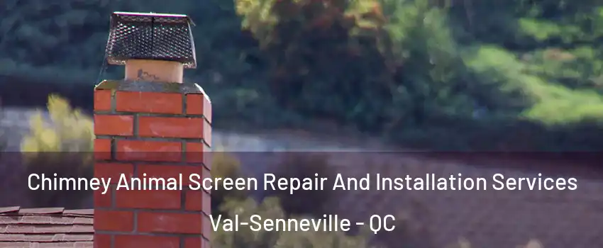  Chimney Animal Screen Repair And Installation Services Val-Senneville - QC
