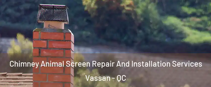  Chimney Animal Screen Repair And Installation Services Vassan - QC
