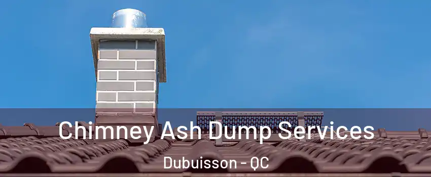  Chimney Ash Dump Services Dubuisson - QC