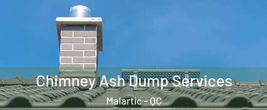  Chimney Ash Dump Services Malartic - QC