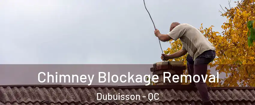  Chimney Blockage Removal Dubuisson - QC