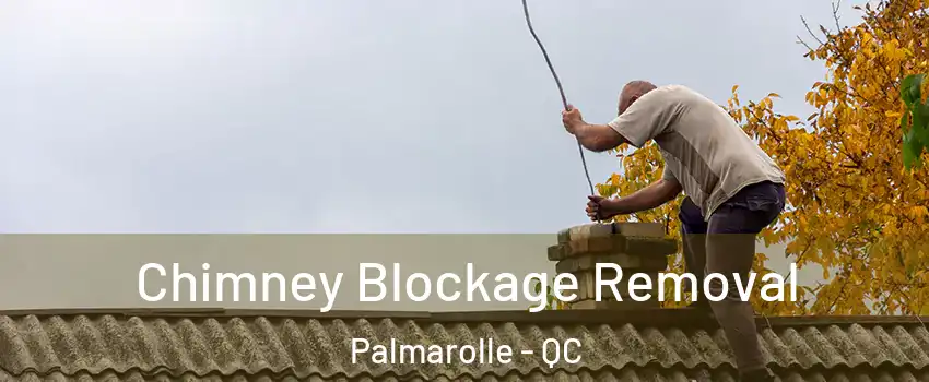  Chimney Blockage Removal Palmarolle - QC