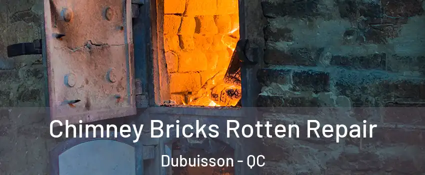  Chimney Bricks Rotten Repair Dubuisson - QC