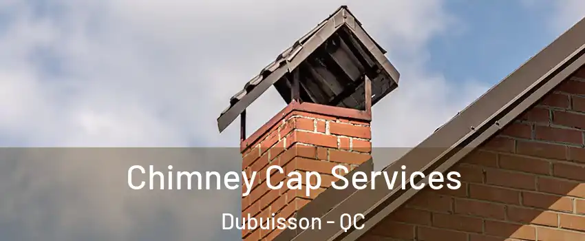  Chimney Cap Services Dubuisson - QC