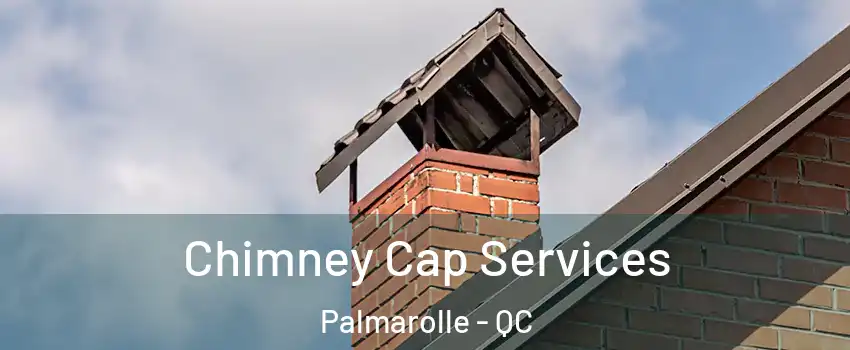  Chimney Cap Services Palmarolle - QC