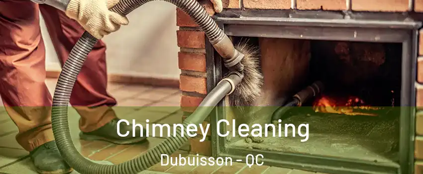  Chimney Cleaning Dubuisson - QC