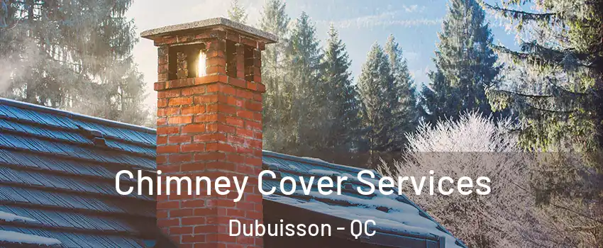  Chimney Cover Services Dubuisson - QC