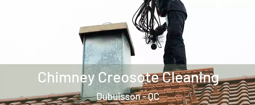  Chimney Creosote Cleaning Dubuisson - QC