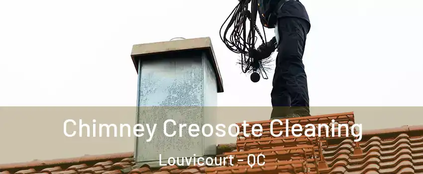 Chimney Creosote Cleaning Louvicourt - QC