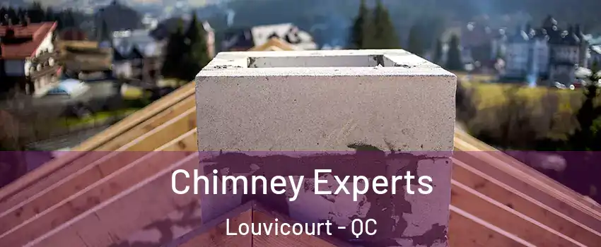  Chimney Experts Louvicourt - QC