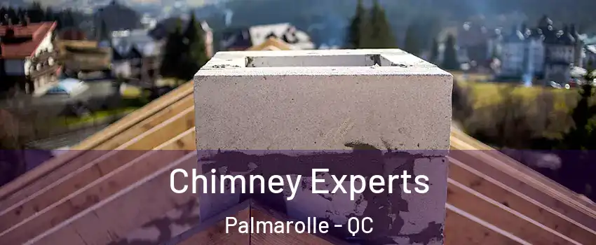  Chimney Experts Palmarolle - QC