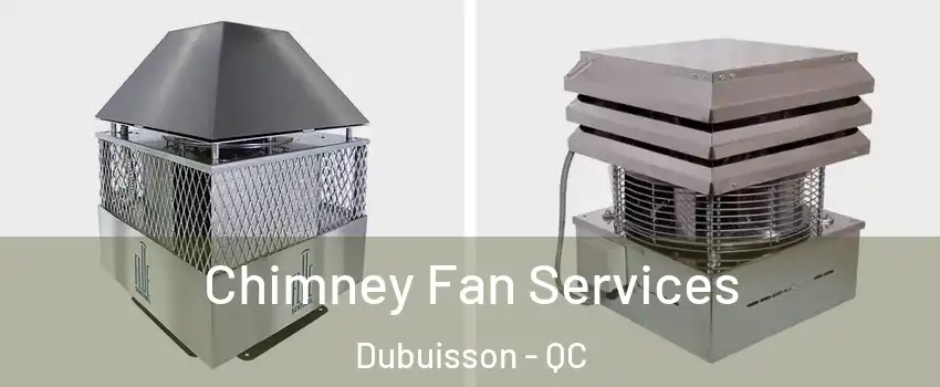  Chimney Fan Services Dubuisson - QC