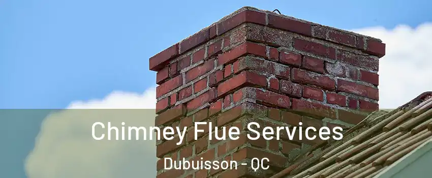  Chimney Flue Services Dubuisson - QC