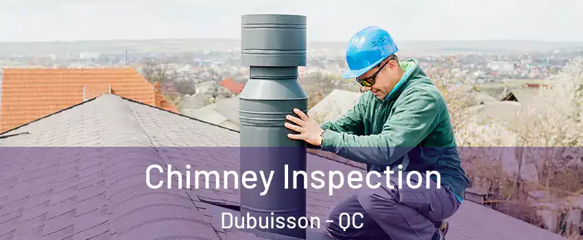  Chimney Inspection Dubuisson - QC