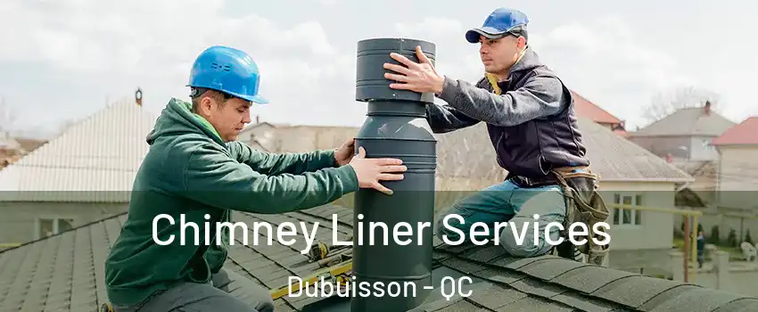  Chimney Liner Services Dubuisson - QC
