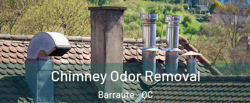  Chimney Odor Removal Barraute - QC