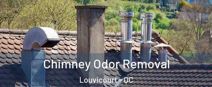  Chimney Odor Removal Louvicourt - QC