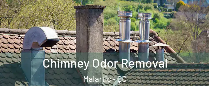  Chimney Odor Removal Malartic - QC