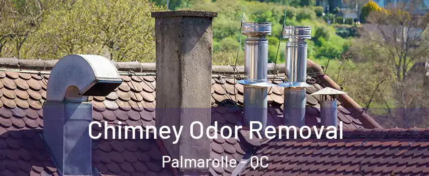  Chimney Odor Removal Palmarolle - QC