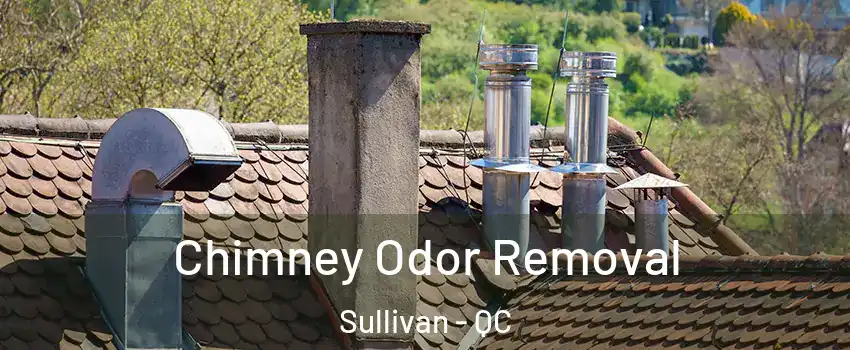  Chimney Odor Removal Sullivan - QC