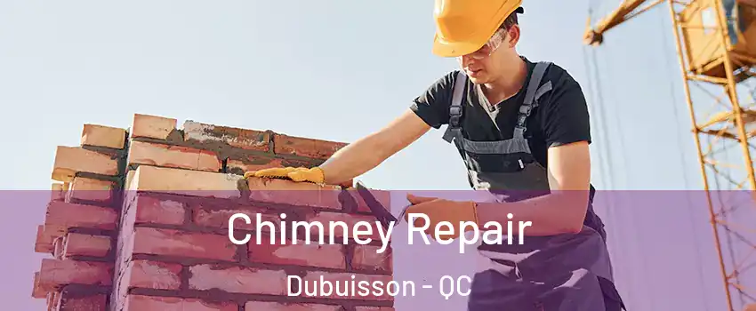  Chimney Repair Dubuisson - QC