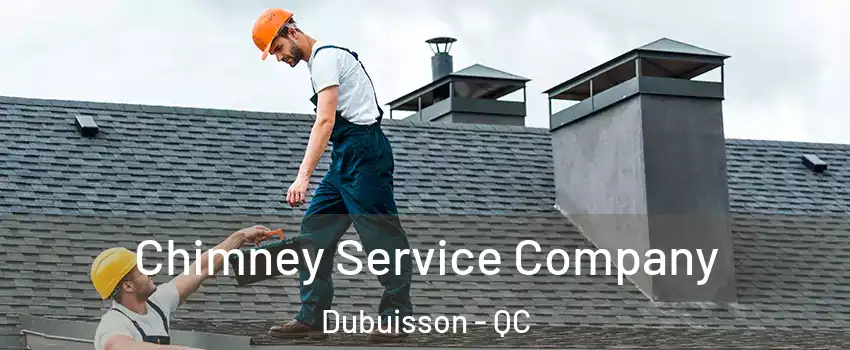  Chimney Service Company Dubuisson - QC