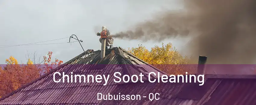  Chimney Soot Cleaning Dubuisson - QC