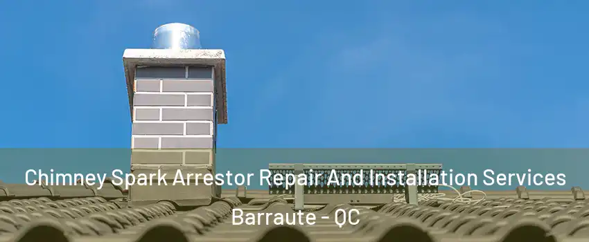  Chimney Spark Arrestor Repair And Installation Services Barraute - QC