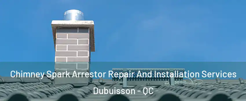  Chimney Spark Arrestor Repair And Installation Services Dubuisson - QC