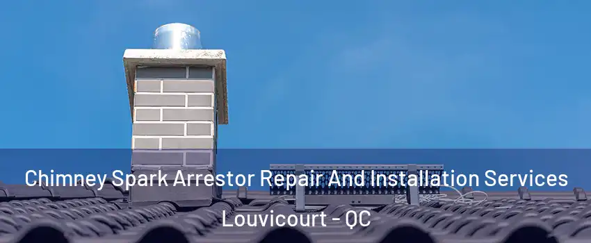 Chimney Spark Arrestor Repair And Installation Services Louvicourt - QC