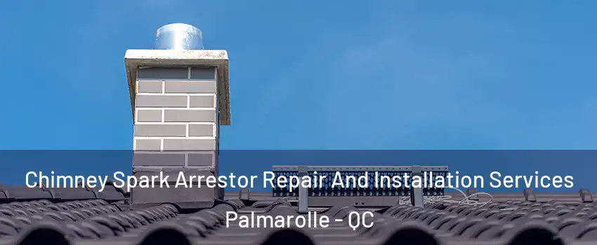  Chimney Spark Arrestor Repair And Installation Services Palmarolle - QC