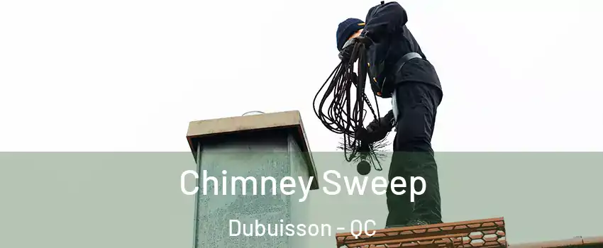  Chimney Sweep Dubuisson - QC