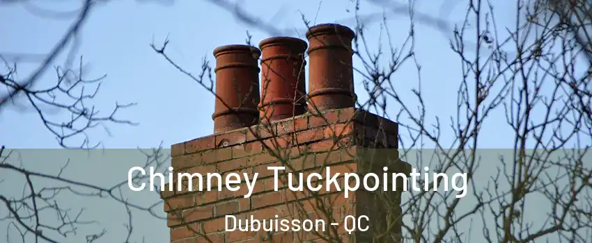  Chimney Tuckpointing Dubuisson - QC