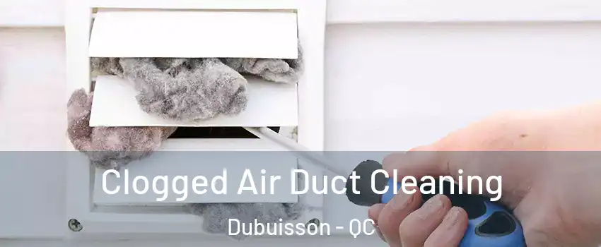  Clogged Air Duct Cleaning Dubuisson - QC