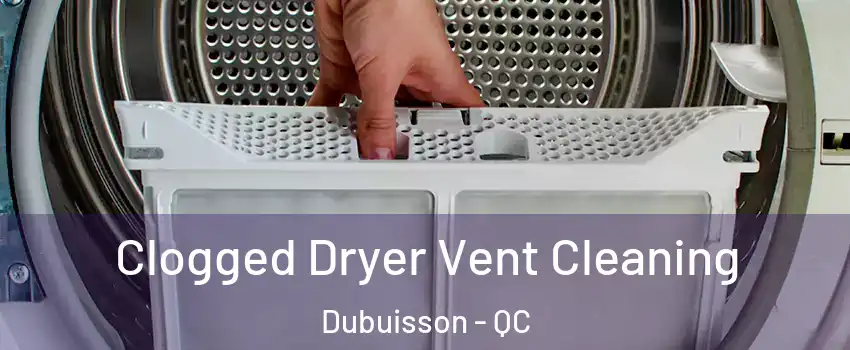  Clogged Dryer Vent Cleaning Dubuisson - QC