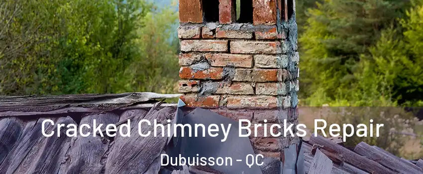  Cracked Chimney Bricks Repair Dubuisson - QC