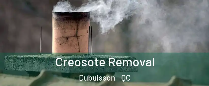  Creosote Removal Dubuisson - QC