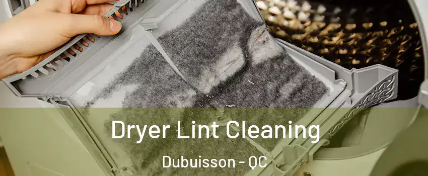  Dryer Lint Cleaning Dubuisson - QC